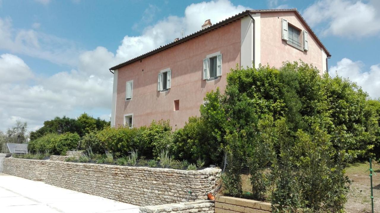 Agriturismo Casale Bonaparte Cellere Exterior foto
