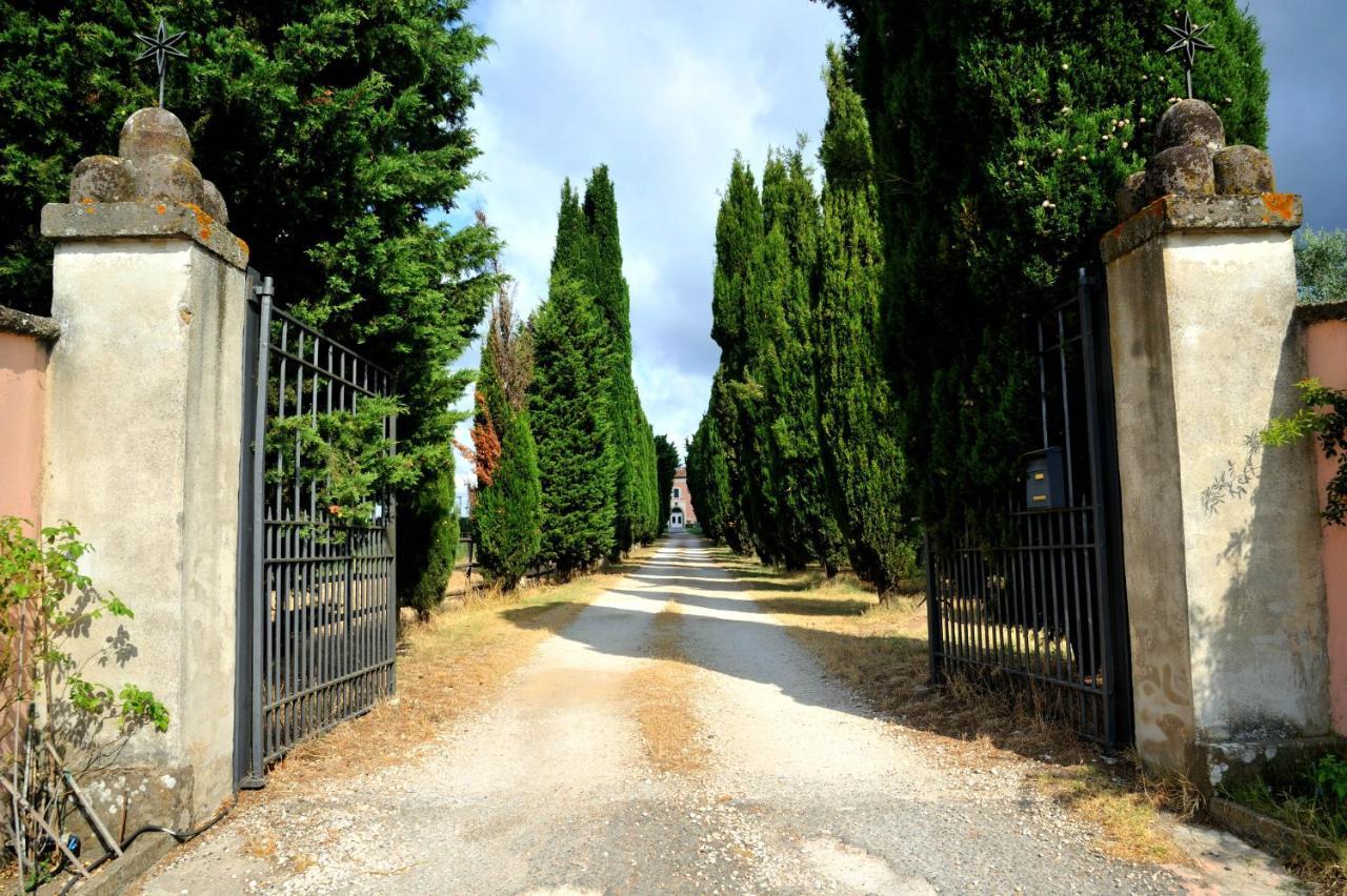 Agriturismo Casale Bonaparte Cellere Exterior foto